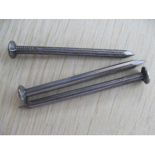 galvanized steel concrete nail thumb brand